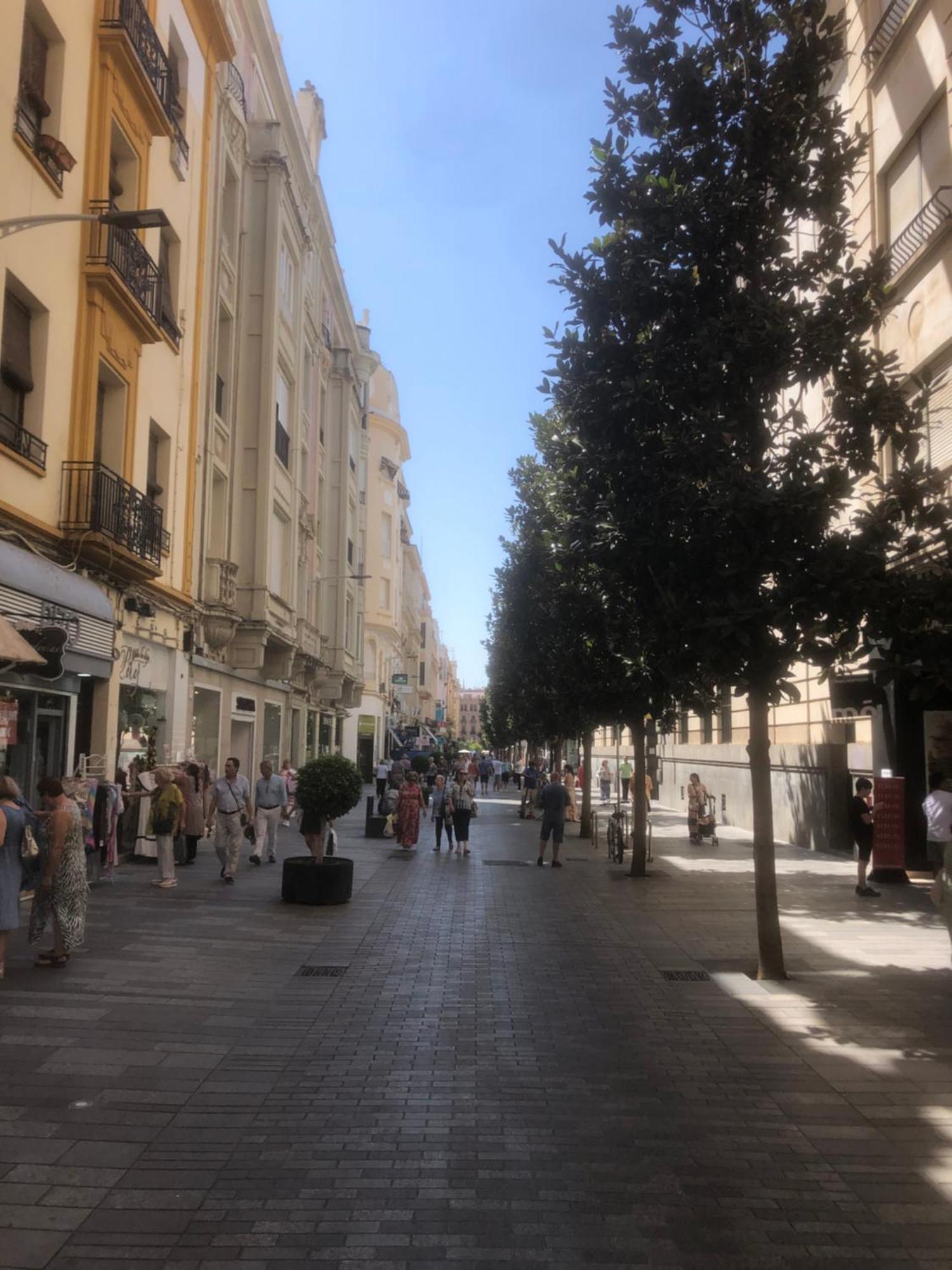 Apartamento En El Centro Totalmente Climatizado, Parking Gratuito Кордова Экстерьер фото